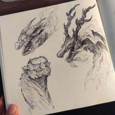 3 Complicated sketches of dragon's head