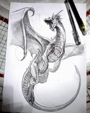 A cool sketch of a dragon's full body