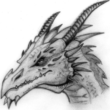 a mean dragon head drawing