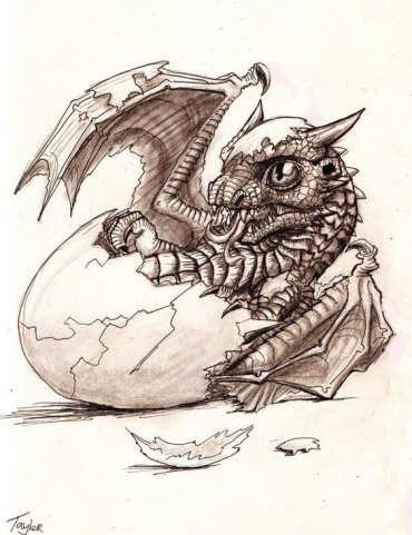 A drawing of a dragon coming out of his egg
