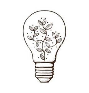 super easy light bulb drawing idea with plants