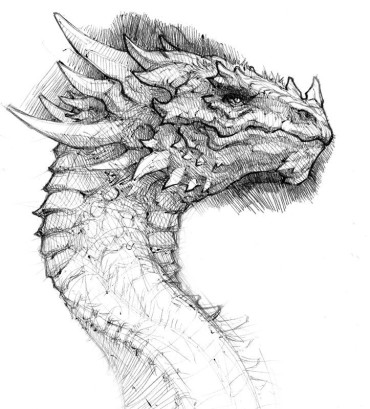 A cool ink sketch of a dragon's head
