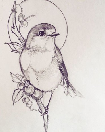 An easy bird drawing for beginners