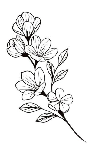 A simple flower drawing