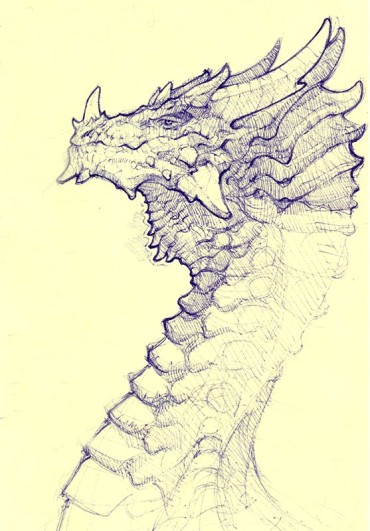 A cool dragon sketch