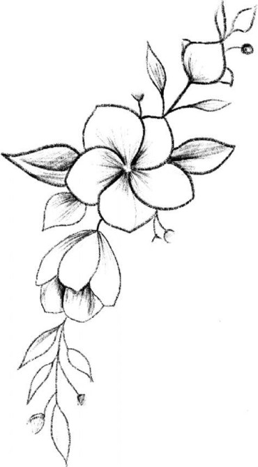 simple flower drawing