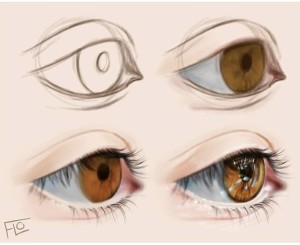 A step by step digital painting of an eye from the side - a digital drawing idea