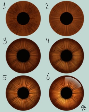 Digital drawing idea of a brown iris to practice drawing digitally
