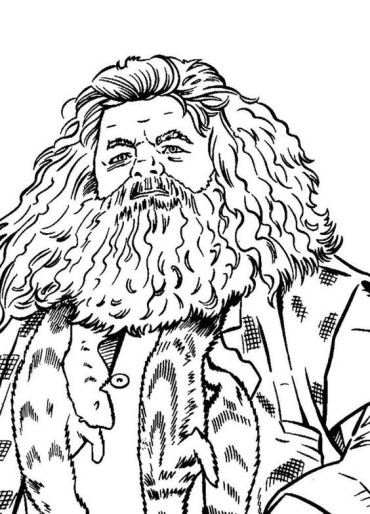 Rubeus Hagrid