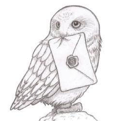 Simple drawing of Hedwig with a letter