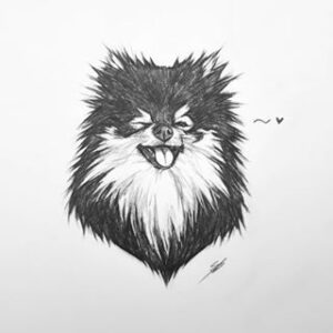 A drawing of Yeontan