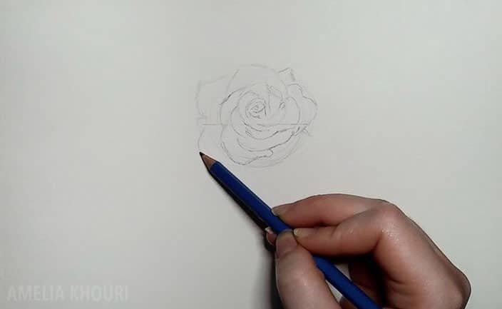 drawing the base lines of a rose